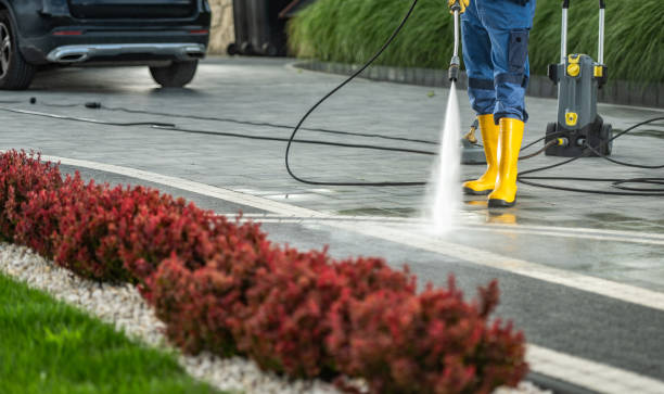 Best Residential Pressure Washing Services  in Montpelier, OH