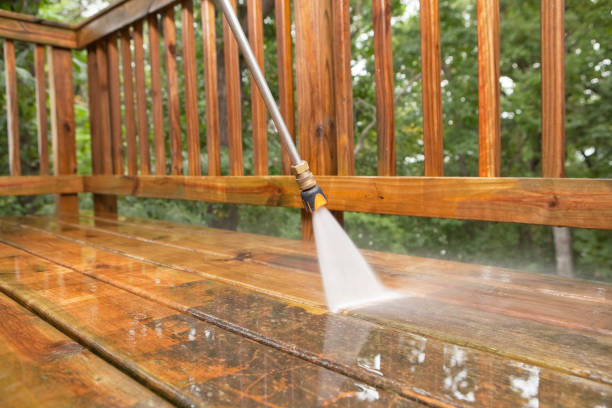 Best Affordable Power Washing  in Montpelier, OH
